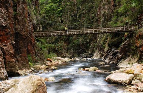 Karangahake Gorge Historic Walkway - Department of Conservation