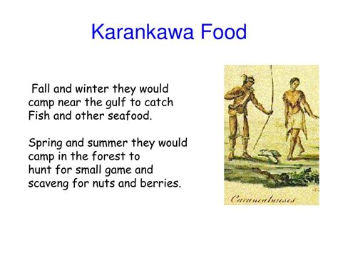 Karankawa food source. Karankawa, several groups of North American Indians that lived along the Gulf of Mexico in Texas, from about Galveston Bay to Corpus Christi Bay. They were first encountered by the French explorer La Salle in the late 17th century, and their rapid decline began with the arrival of Stephen Austin and other white settlers in the 1820s and 1830s. 