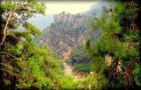 Karanlikdere Halı ve Koltuk Yıkama
