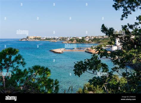 Karaoglanoglu Halı ve Koltuk Yıkama