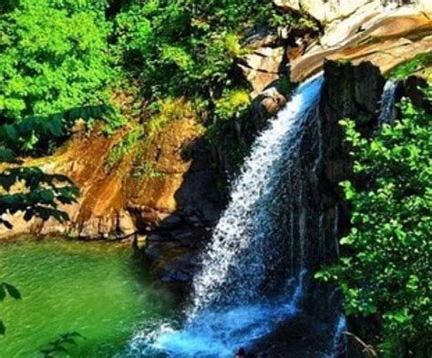 Karaoluk Halı ve Koltuk Yıkama