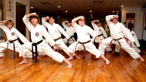 Karate dojo. Here we will explore various karate games that I ran groups of kids through while teaching at my instructor's dojo. These games keep the children entertained and were usually reserved for the last 15 minutes of class as a reward and for keeping them interested in classes. ... Attention stance in most martial … 