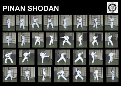 Karate kata 2   pinan shoddan. - Holt handbook fifth course chapter 5 answers.