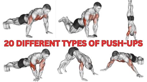 Karate pussup video. Watch Now How to do a Push-Up Correctly : Best Tutorial Eve...
