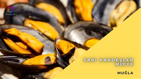 Kardeşler Midye & Kokoreç. 