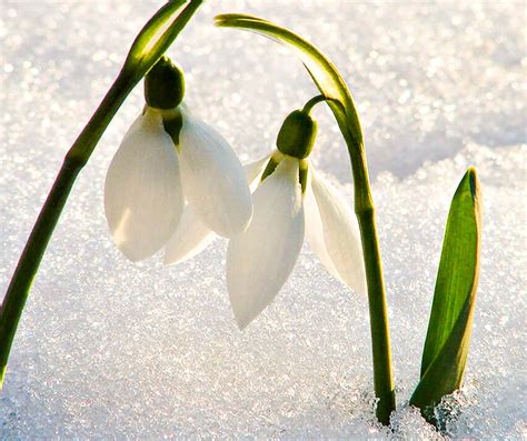 Kardelen Halı ve Koltuk Yıkama