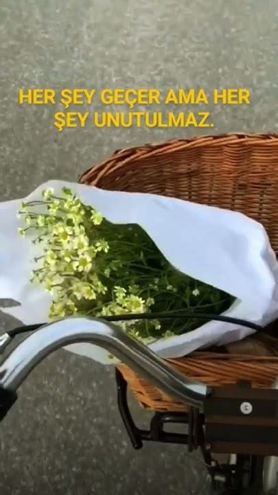 Kardelenin Her şey geçer , her şey hallolur  Ama  Facebook.