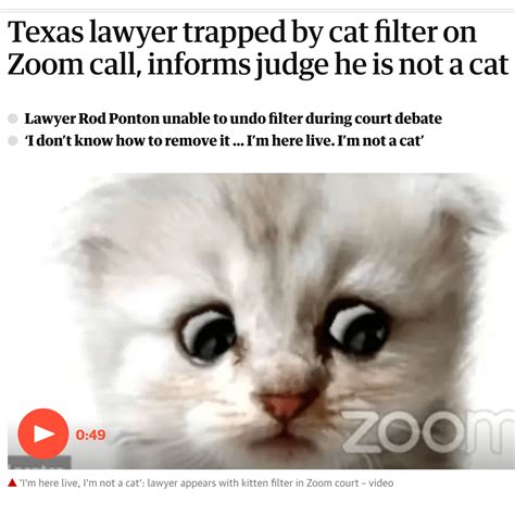 Karen Halliwell on LinkedIn: Texas lawyer, trapped by cat filter on ...