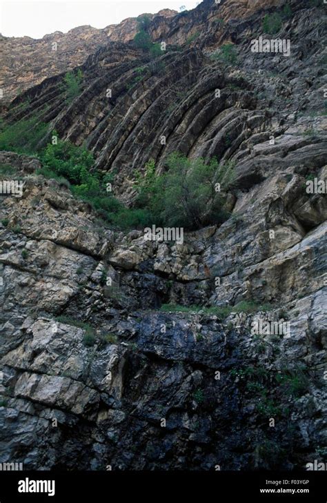 Kargapazari Halı ve Koltuk Yıkama