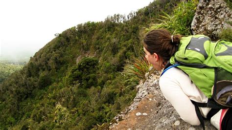 Karioi summit tracks: Pirongia Forest Park, Raglan area, Waikato …