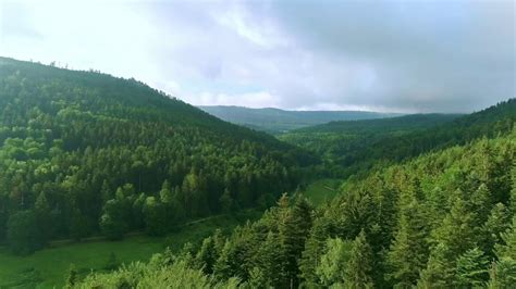 Karlikayin Halı ve Koltuk Yıkama