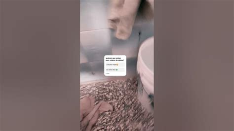 💦 Karolin25 Onlyfans Leak [CLIP]