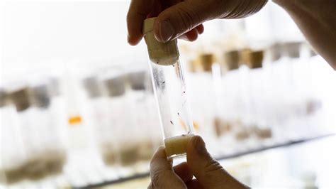 Karolrosado Leaks Leaked XxX 🍆 238 Vids