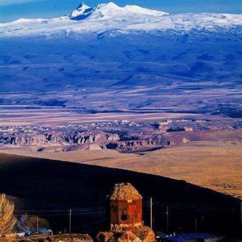 Kars Digor terapi halı yıkama