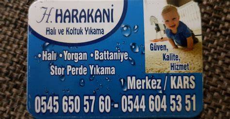 Kars Merkez Hali Yikama Servisi