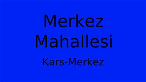 Kars Merkez Merkez Mahallesi terapi halı yıkama