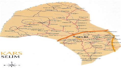 Kars Selim terapi halı yıkama
