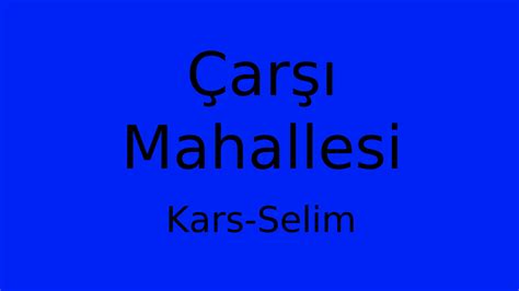 Kars Selim Carsi Mahallesi terapi halı yıkama
