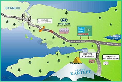 veodersti.rgarabwor.edu.pl. 