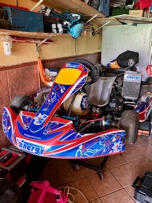 Karts de segunda mano y ocasión en Pampanico Milanuncios