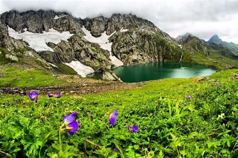 Kashmir Great Lakes Trek July 2024 An Experience in Heaven ...