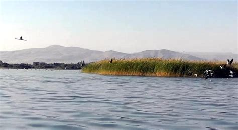 Kasimbagi Halı ve Koltuk Yıkama