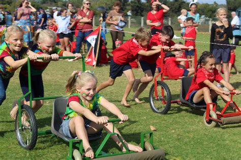 Kaskar Halı ve Koltuk Yıkama