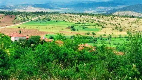 Kastamonu Arac terapi halı yıkama