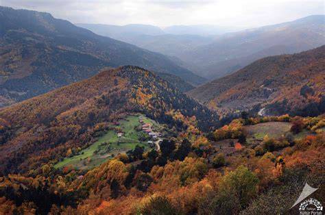 Kastamonu Kure En Yakin terapi halı yıkama