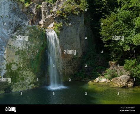 Kastamonu Pinarbasi terapi halı yıkama