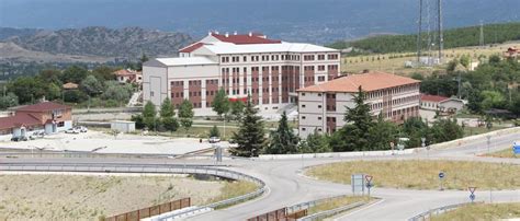 Kastamonu Tosya terapi halı yıkama