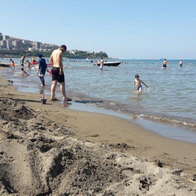 Kasustu Halı ve Koltuk Yıkama