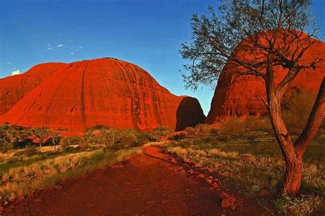 Kata Tjuta (The Olgas), Northern Territory - Uluru Tours