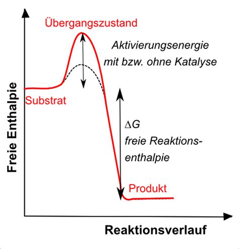 Katalysator - chemie.de