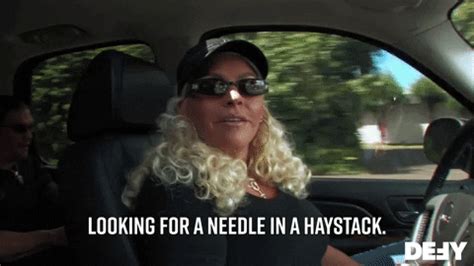 Kate Lanuza - Haystack Needle *Verified* ZoomInfo