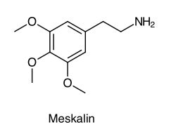codini.rgarabwor.edu.pl. 