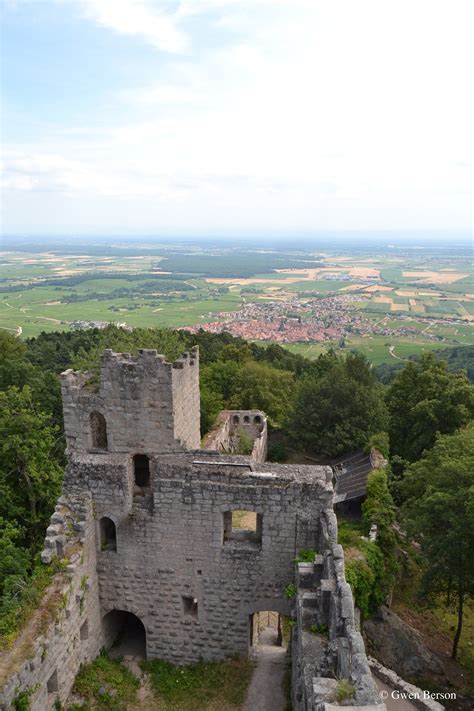 Katikats Onlyfans Leak 😈 [CLIP]