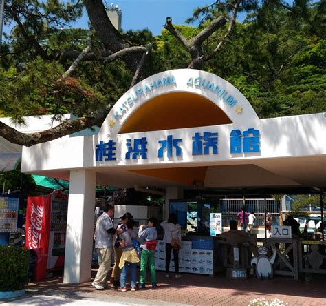 Katurahama Aquarium (Kochi) - All You Need to Know …