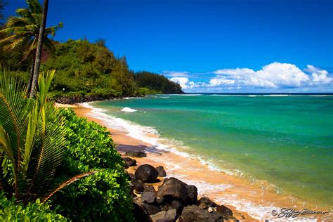 Kaua&lsquo;i Leaders Mourn Death of Former Hawaiʻi County Mayor ...