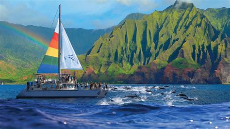 Kauai boat tour. NaPali Coast Kauai Boat Tour Reviews. 1. Na Pali Coast Kauai Snorkel and Sail. Napali Coast Sail & Snorkel Tour from Port Allen at a Glance: Departure Point: Holo Holo Charters, 4353 Waialo Rd, Eleele (Port Allen Marina) Departure Time: 7:30 AM. Duration: 5 hours. 