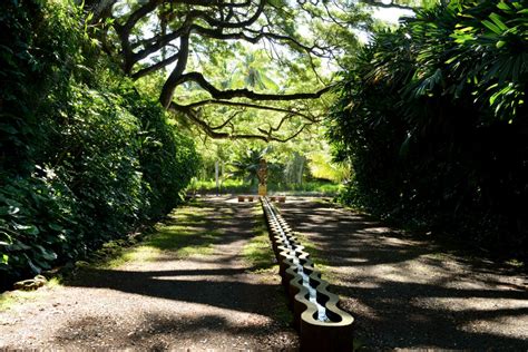 Kauai botanical garden. Tucked away in Lawai Valley, this collection of gardens includes lands and a cottage once used by Hawaii's Queen Emma (1836–85) for a summer retreat. Trams depart frequently to transport people ... 