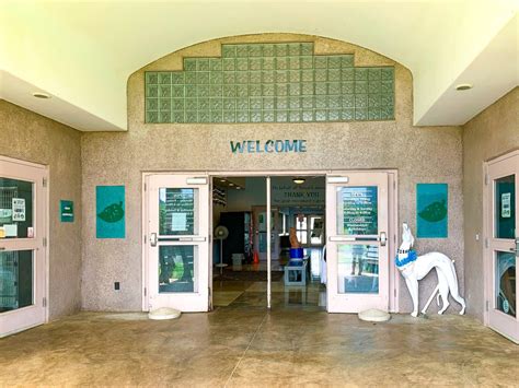 Kauai humane society. T he Kauai Humane Society (KHS) is a nonprofit organization that works to protect and improve the lives of animals on Kauai. Founded in 1965, the humane society has provided shelter, medical care, and adoption services for homeless animals. Of course, they need extensive funding to do that, and one of the ways they fund themselves is … 