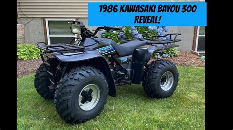 Kawasaki bayou 300 oil type.  Click the link below for the complete te...