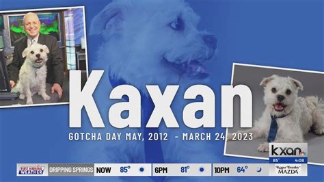 Kaxan, beloved KXAN mascot, dies after brain cancer battle