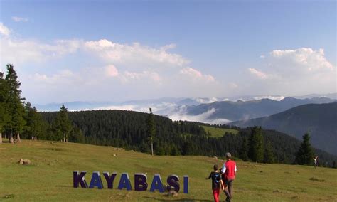 Kayabasi Halı ve Koltuk Yıkama