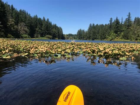 Kayaking At Fallen Leaf Park, Camas, WA - boardandkayak.com