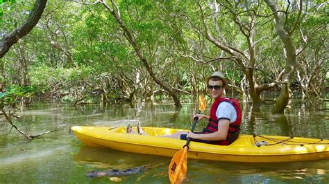 Kayaking in Goa Everything You Need to Know