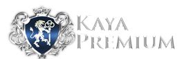 Kayapremiumcasino