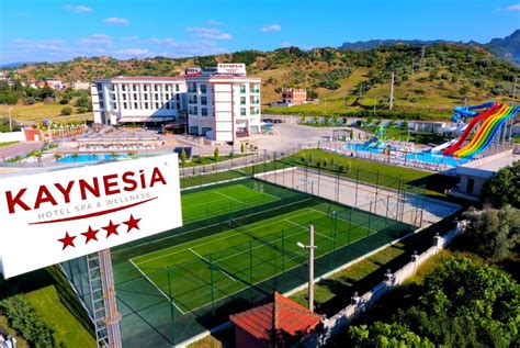 codini.rgarabwor.edu.pl. 