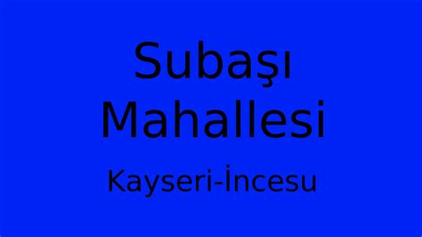 Kayseri Incesu Subasi Mahallesi terapi halı yıkama